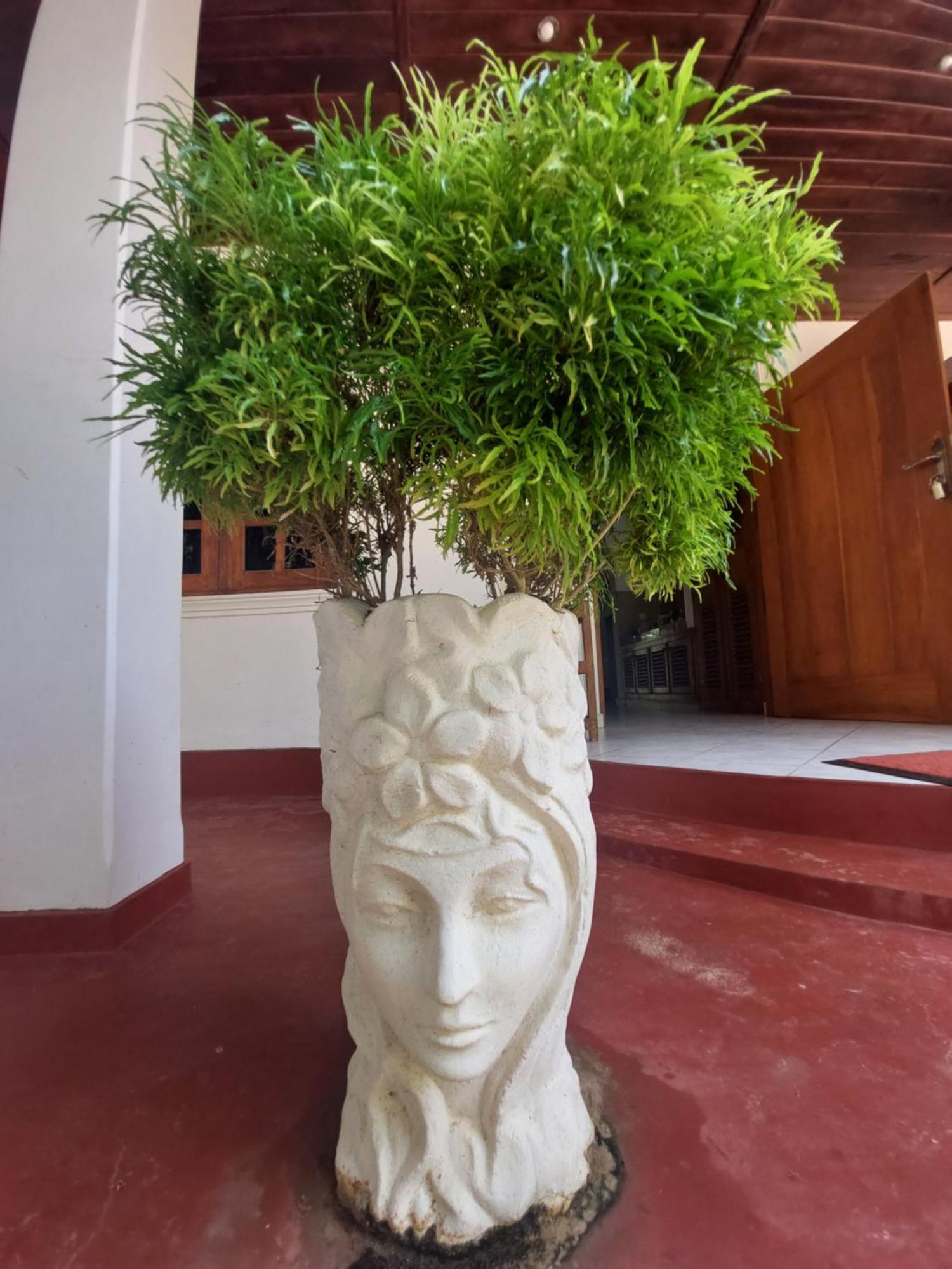 Villa Czech House Tangalle Esterno foto