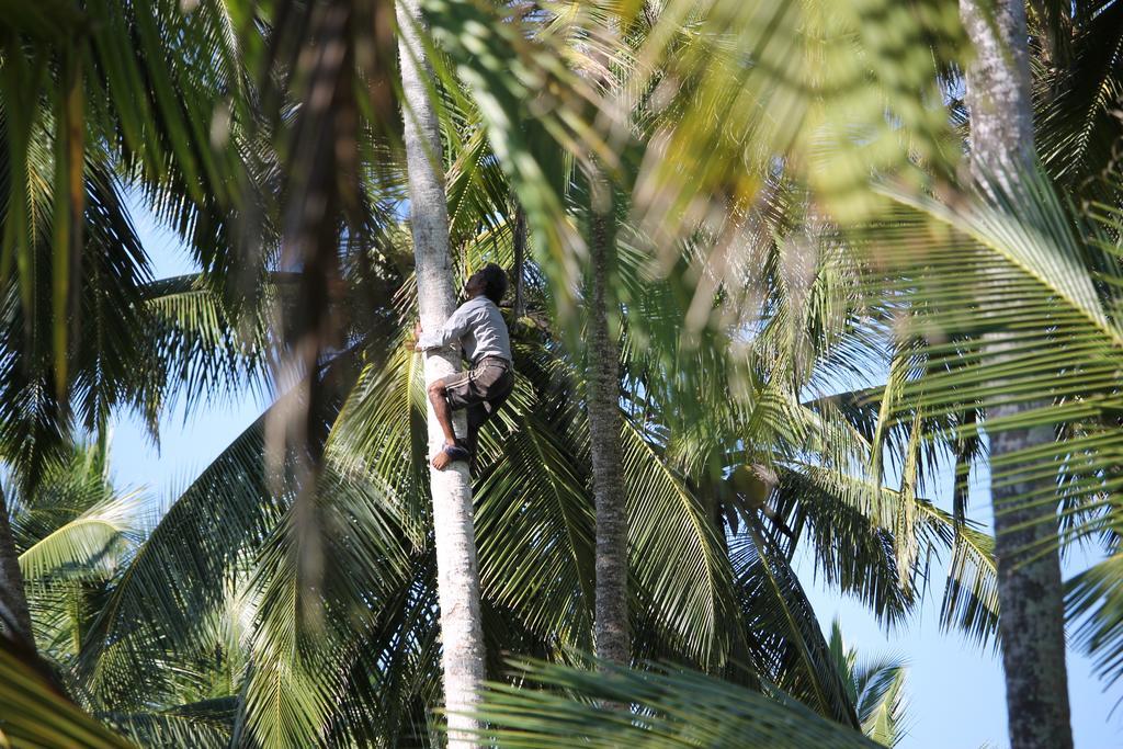 Villa Czech House Tangalle Esterno foto